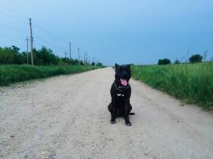 Фотография Ветеринарная Клиника Белый Кот 2