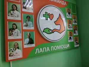 Фотография Лапа Помощи 2