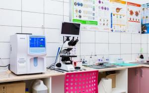 Фотография Айболит 5