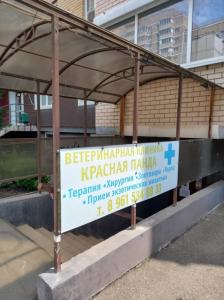 Фотография Красная Панда 2