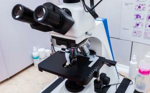 Фотография Айболит 4