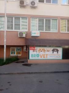 Фотография BroVet 3