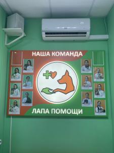 Фотография Лапа Помощи 4