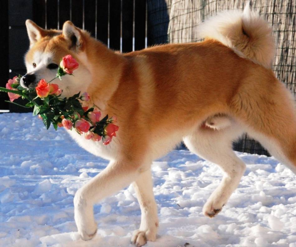 слайд