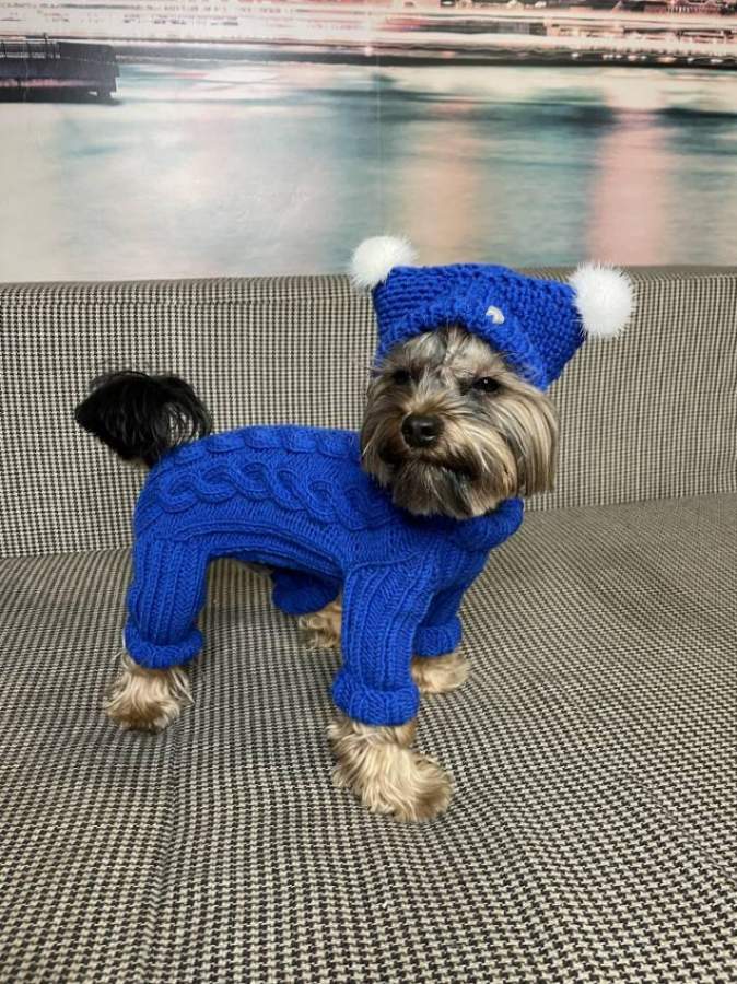 слайд