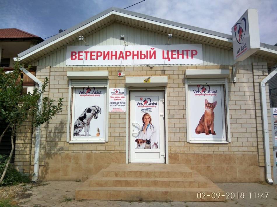 слайд
