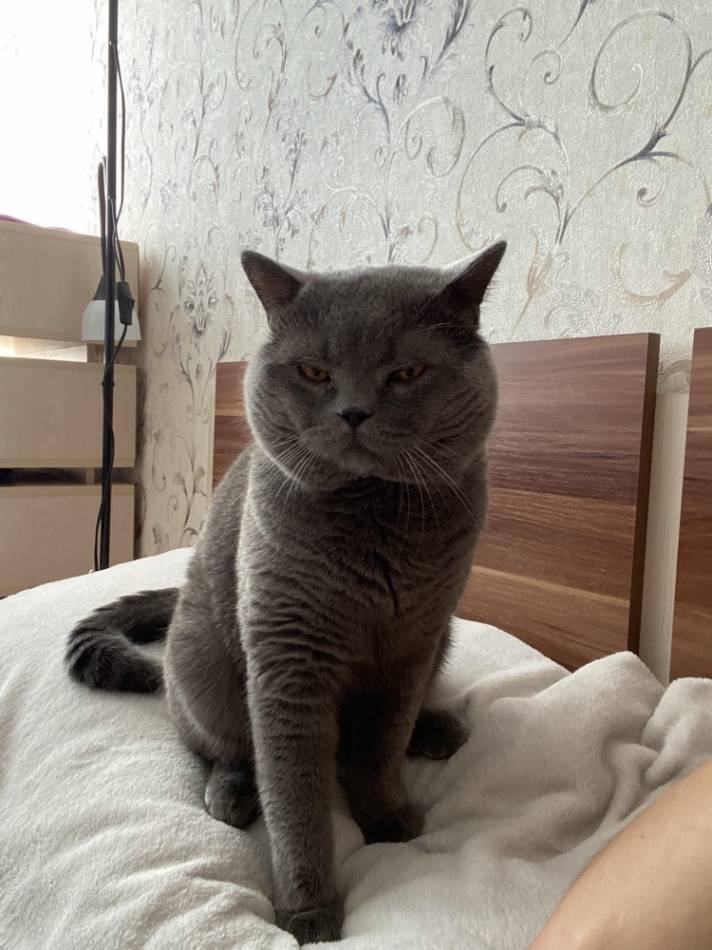 слайд