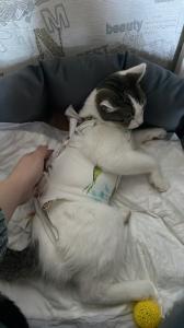 Фотография Екатериноvet 4