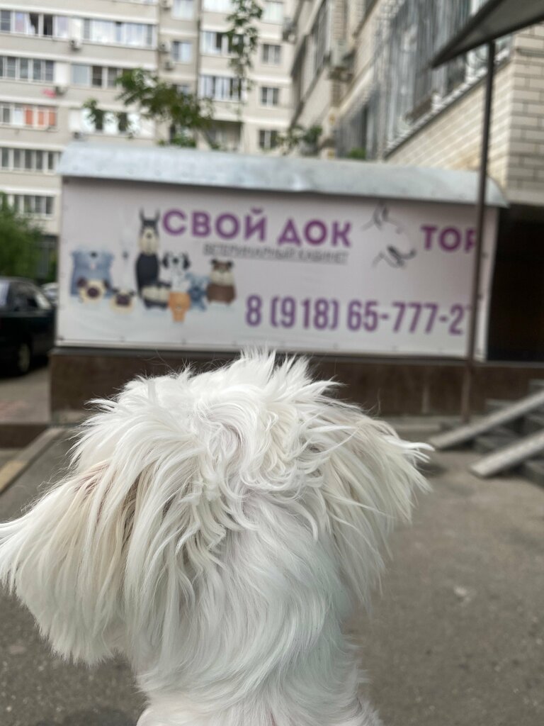 слайд
