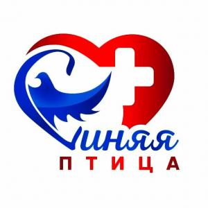 Фотография Синяя птица 3