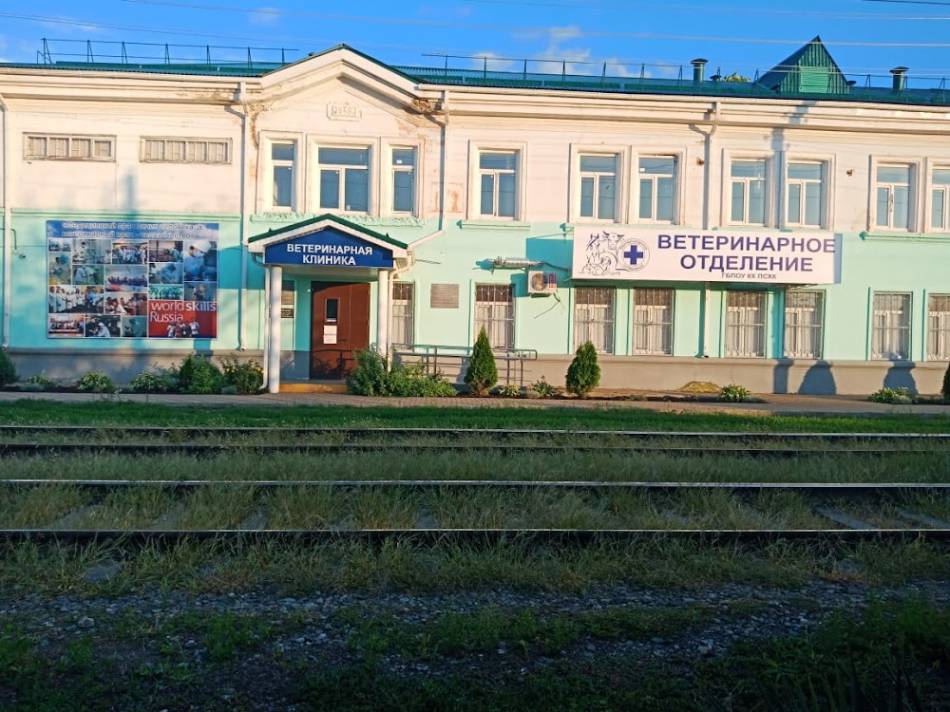 слайд
