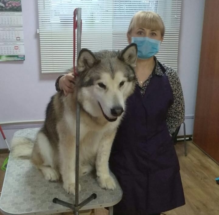слайд