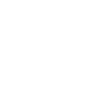 Фотография Ковчег 5