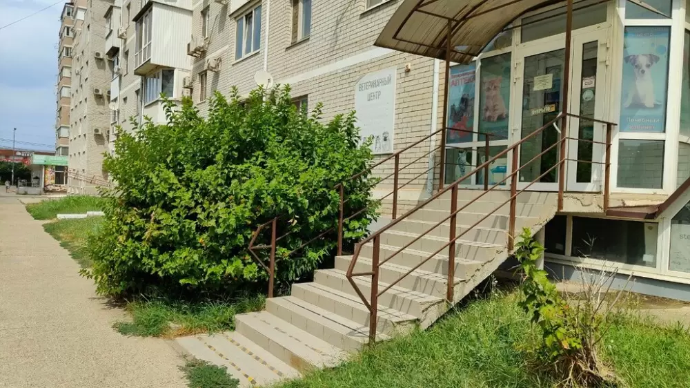 слайд
