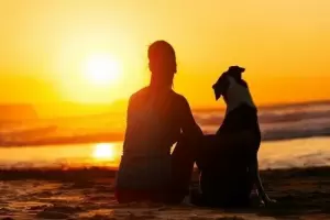 Фотография Управление ветеринарии Динского района 4