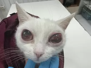 Фотография Ветеринарная амбулатория 2