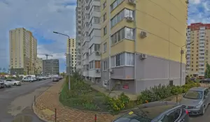 Фотография Котопес 2