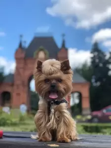 Фотография Zoopersona 3