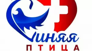 Фотография Синяя птица 4