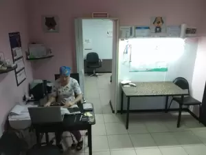 Фотография Синяя птица 2